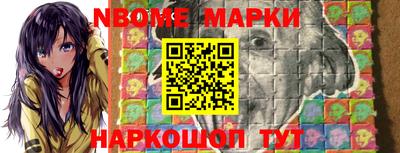 a pvp Новозыбков
