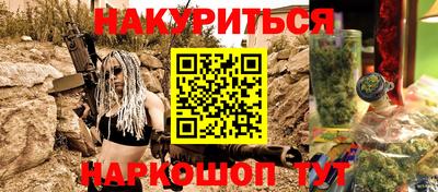 a pvp Новозыбков