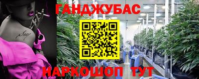 a pvp Новозыбков
