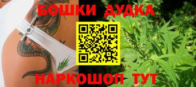 spice Новокубанск