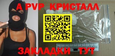 a pvp Новозыбков